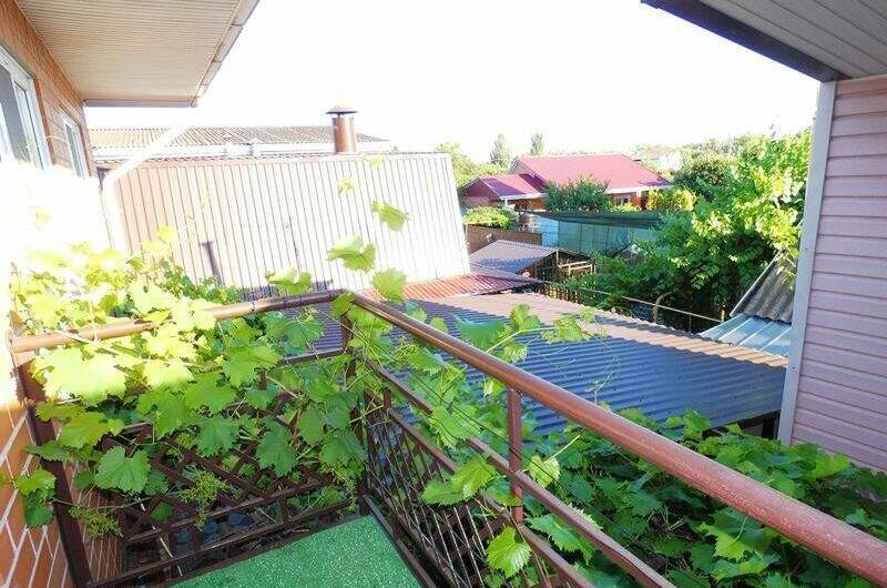 Трехместный «Стандарт»