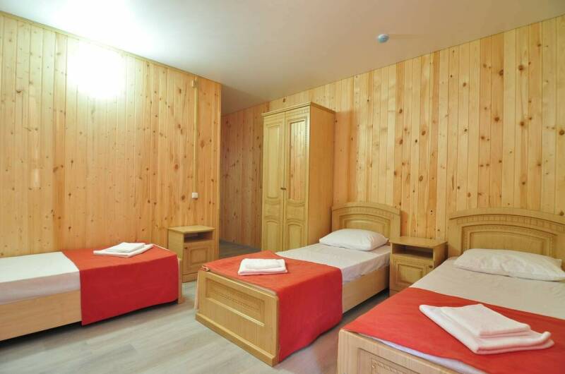 3-Х МЕСТНЫЙ НОМЕР в деревянном корпусе