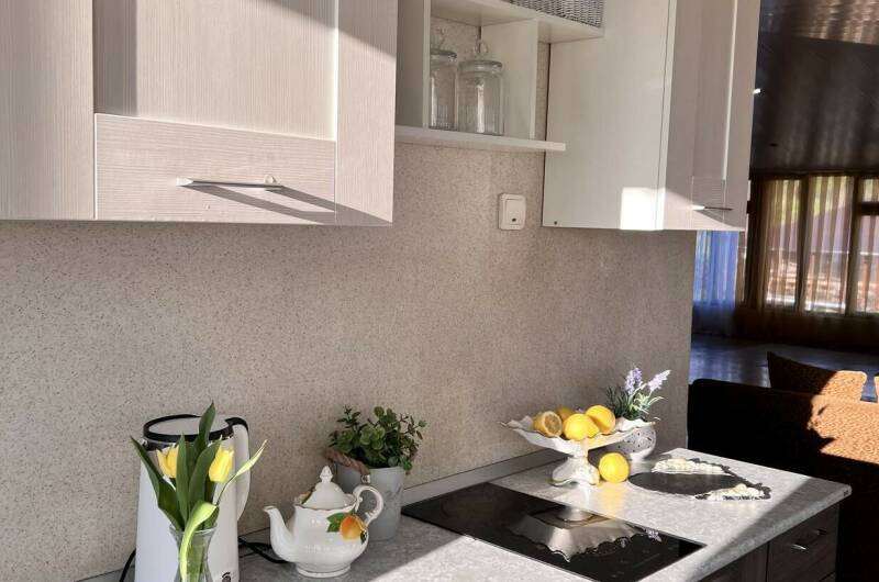 Дом с отдельным входом (дуплекс)