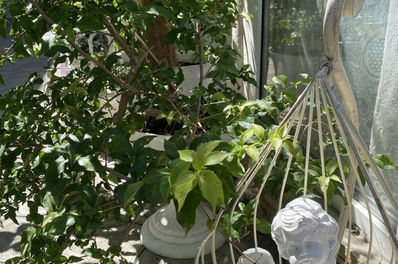 Комната № 4