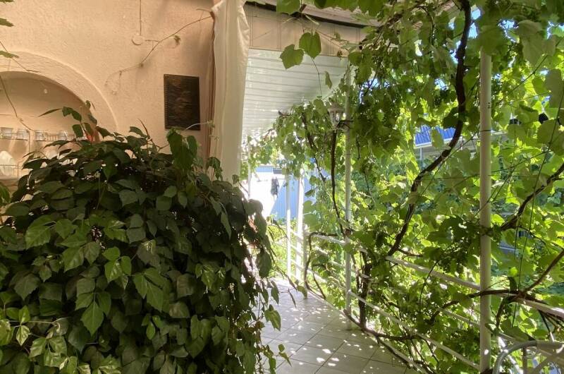 Комната № 5