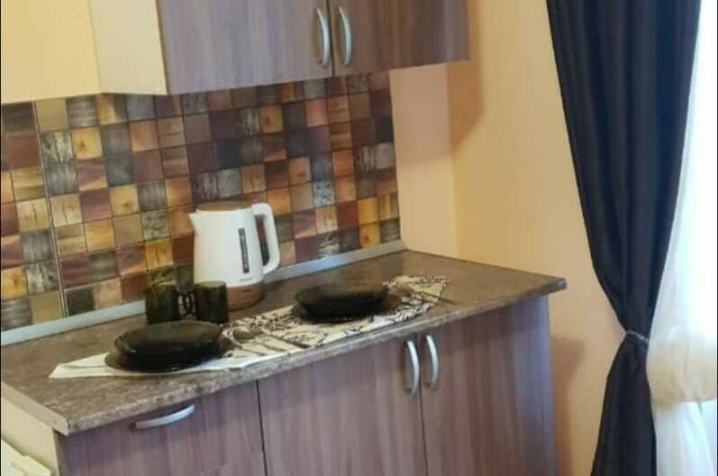 Двухместная студия с кухней 206