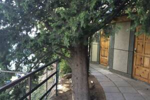 Изображение Изображение гостиницы "Гостевой дом «Kara-Burun»" #5 #5