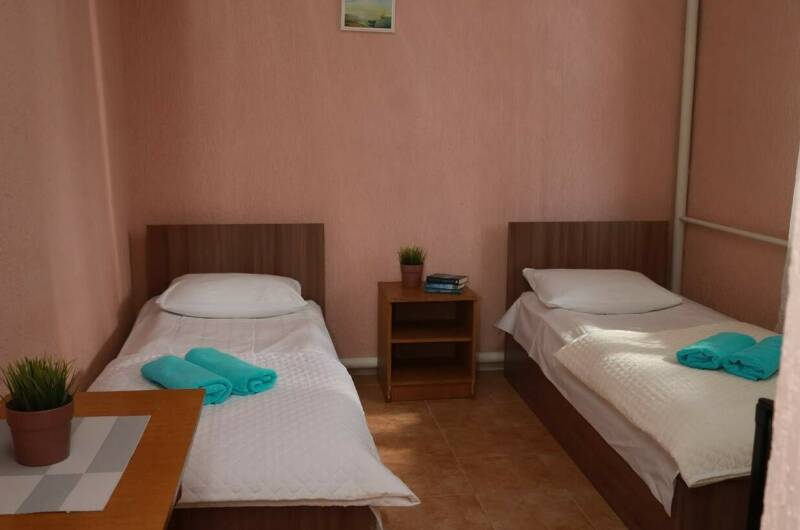 Эконом 2-х местный