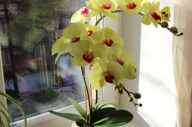 «Семейная» комната — 4-х местное размещение