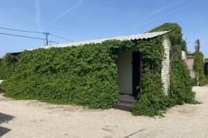 Изображение Изображение гостиницы "База отдыха «Кристина»" #5 #5