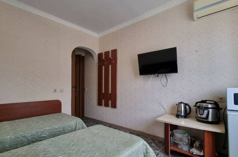 Двухместная студия с кухонной зоной 203