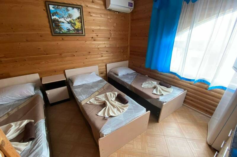 Наталья Козлова