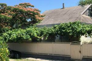 Изображение Изображение гостиницы "Частная мини-гостиница «Лагуна»" #5 #5