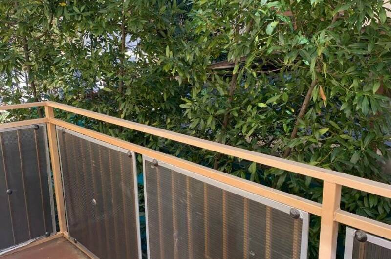 Трехместный «Стандарт» с доп. местом