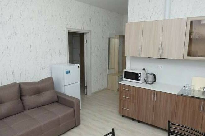 Апартаменты однокомнатные с кухней 3х местные