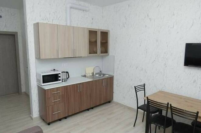 Апартаменты однокомнатные с кухней 3х местные