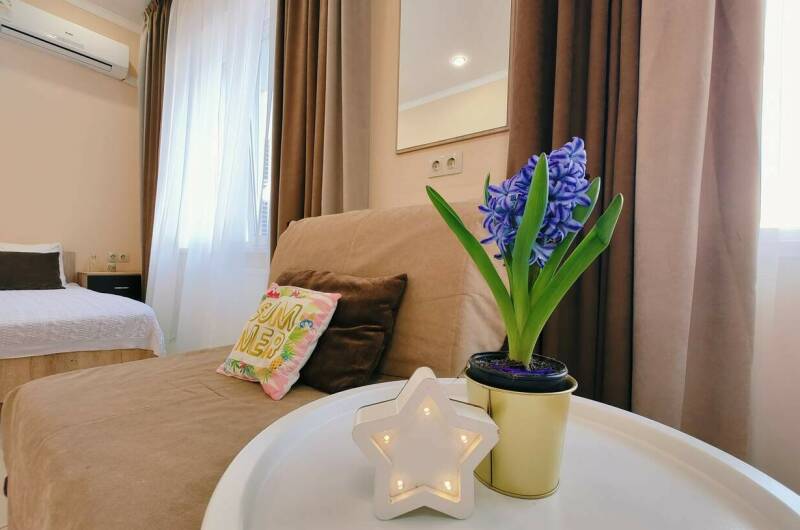 Студия 3х местная с мини-кухней