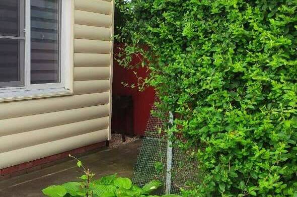 Двухкомнатный дом