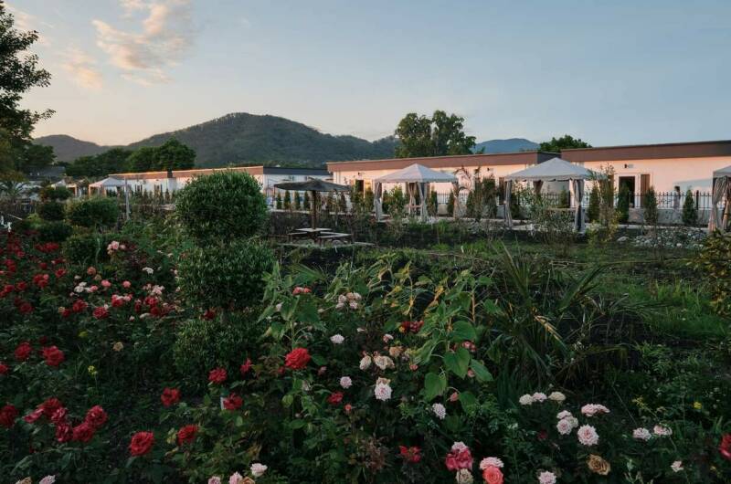 Номер «Семейный» с видом на сад для 6 гостей