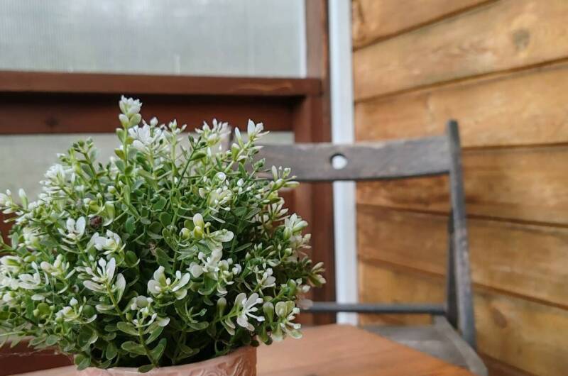 Двухместная комната № 1