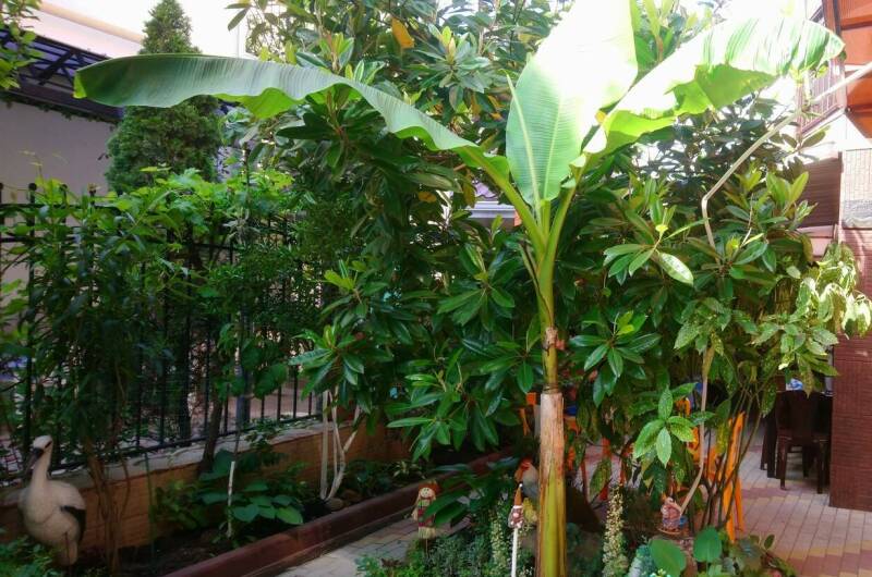 Семейный номер на 4 человека