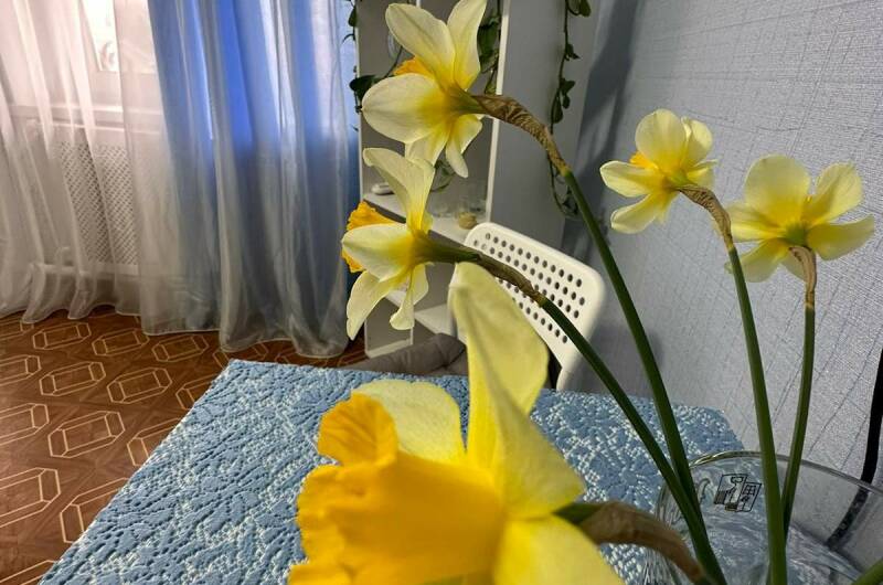 2-х местный «Стандарт»