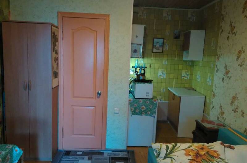 Дом-дача (1)