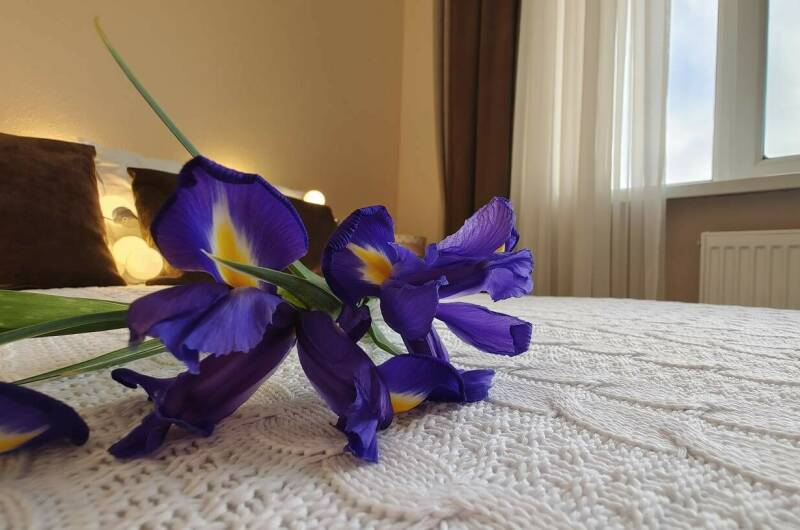 Трехместный «Стандарт»