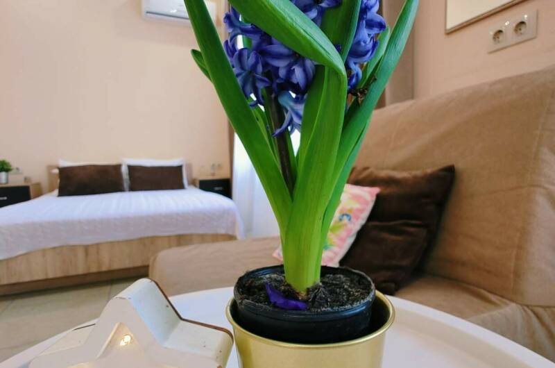 Трехместный «Стандарт»