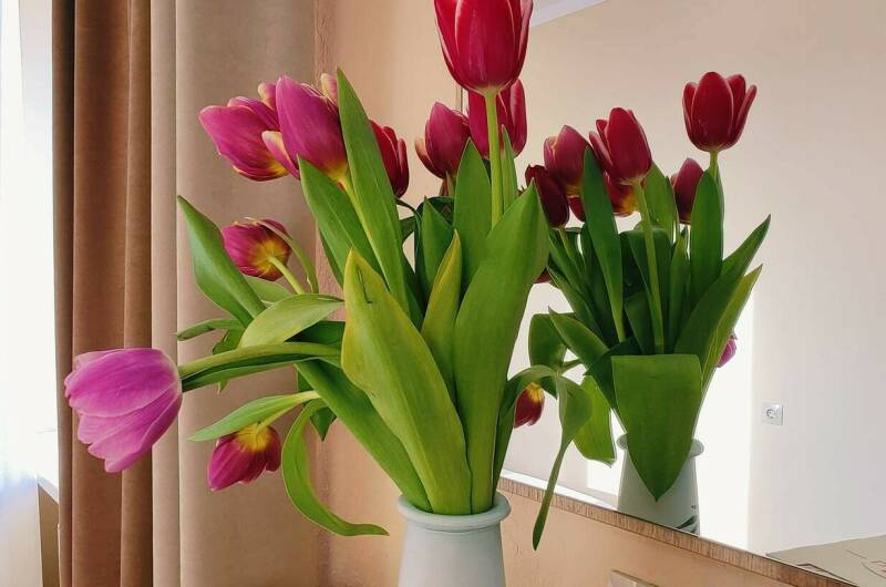 Студия с мини-кухней (4 этаж)