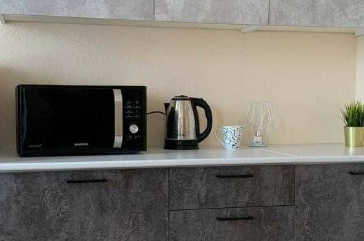 Студия 2-х местная с мини-кухней