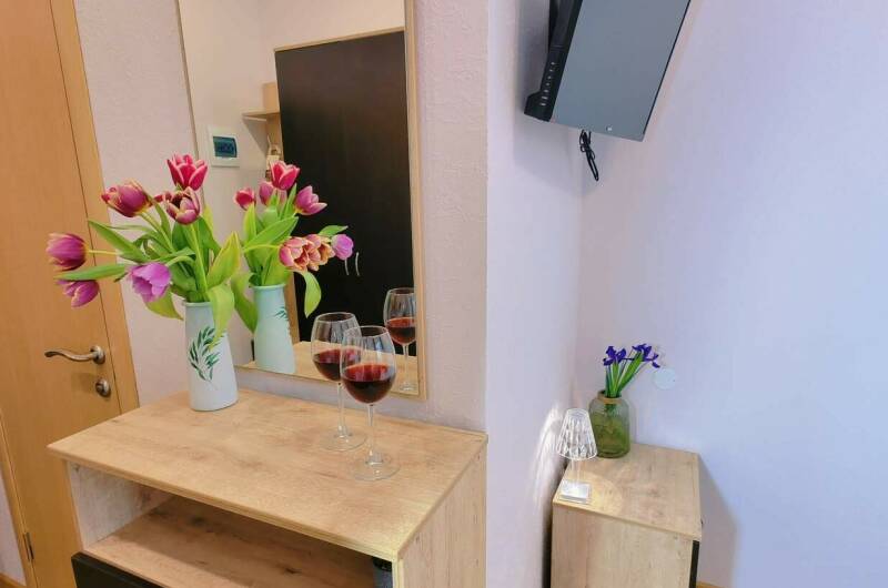 Студия 3-х местная с мини-кухней