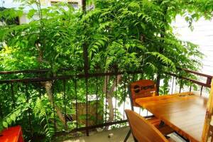 Изображение Изображение гостиницы "Гостевой дом «Виноградная лоза»" #3 #3