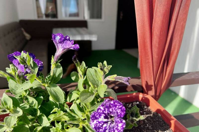 № 1 Двухкомнатный номер с кухней