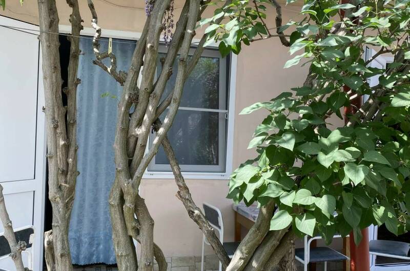 2-х местный «Стандарт»