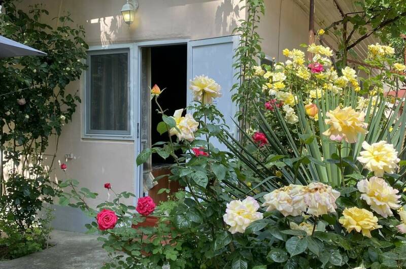 4-х местный «Стандарт»