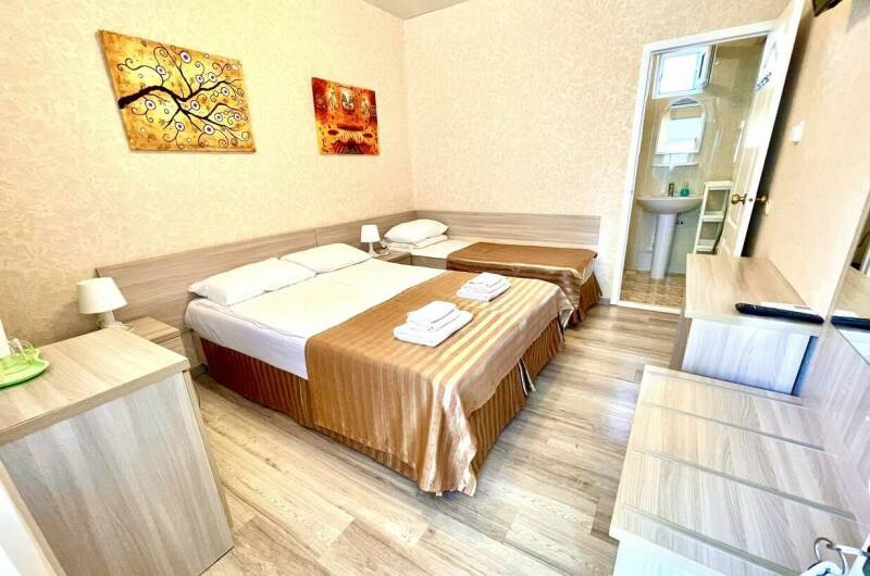 ЭКО 3-х местный с террасой