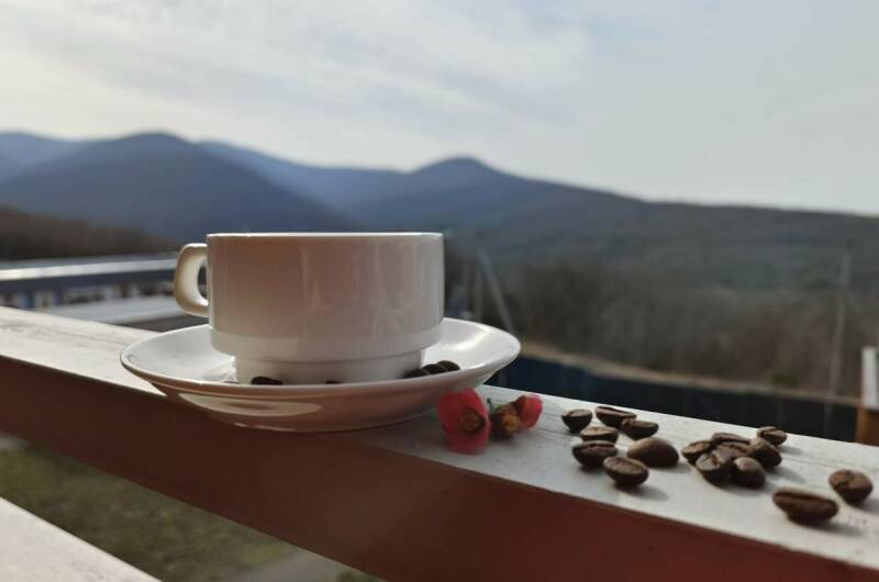 Двухместный «Комфорт-плюс» с террасой