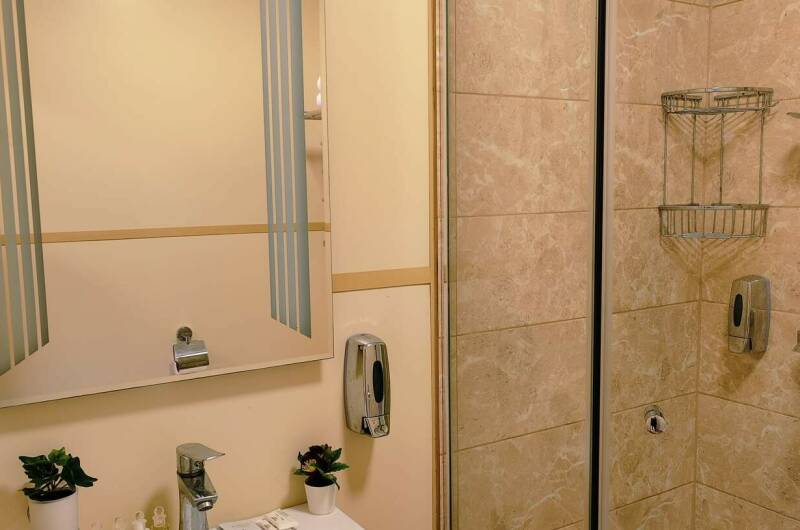 Трёхместный «Полулюкс» с террасой