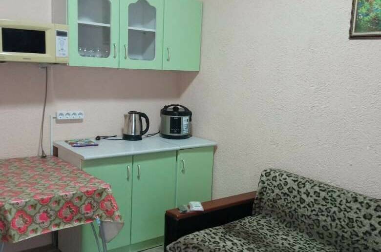 Двухкомнатная квартира с кухонной зоной