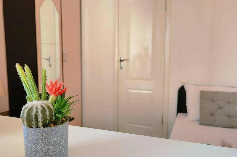 1-но местный «Стандарт»