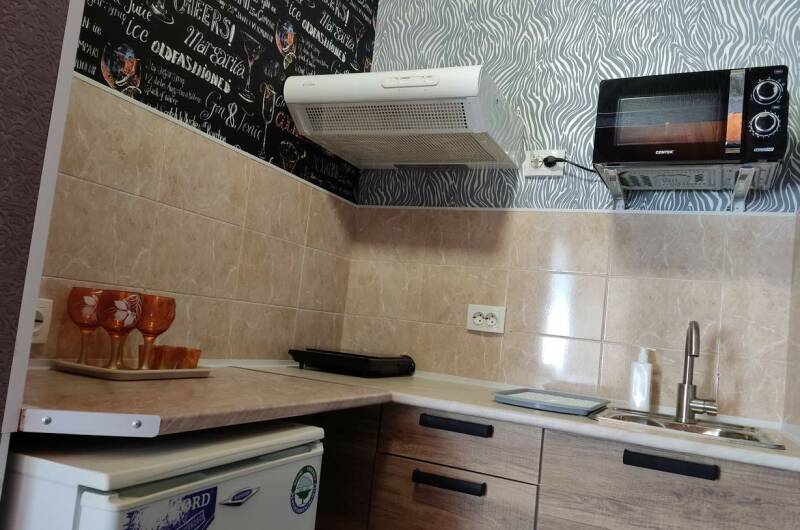 Комната с кухней и санузлом