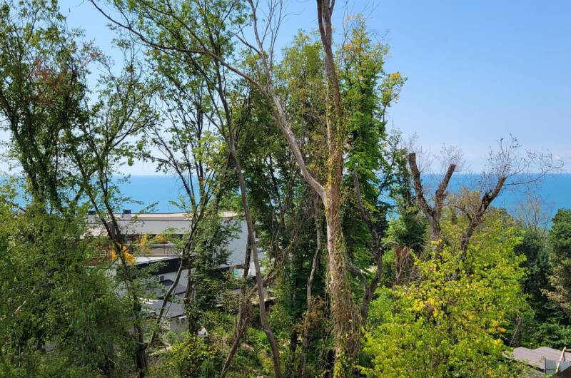 Sorrento (Сорренто)