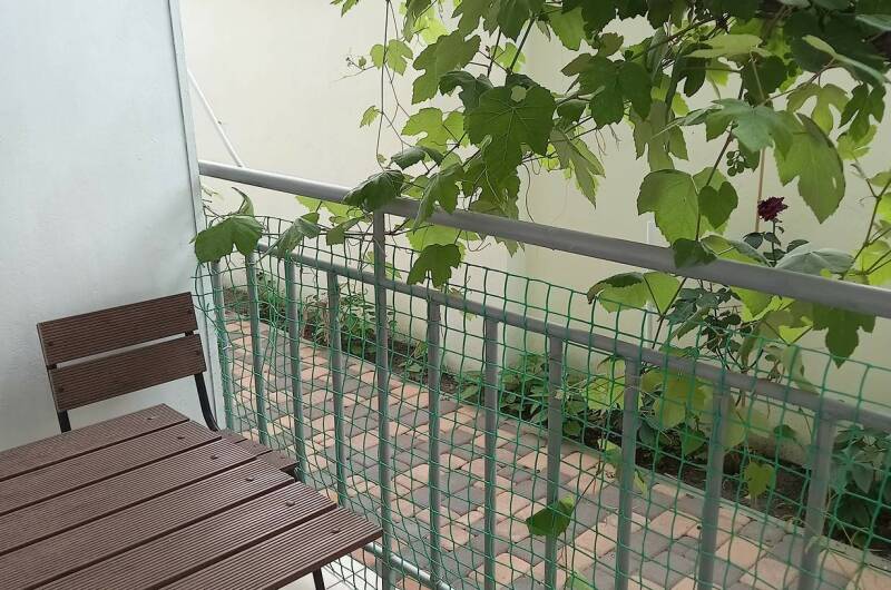Трехместный «Стандарт», номер 2