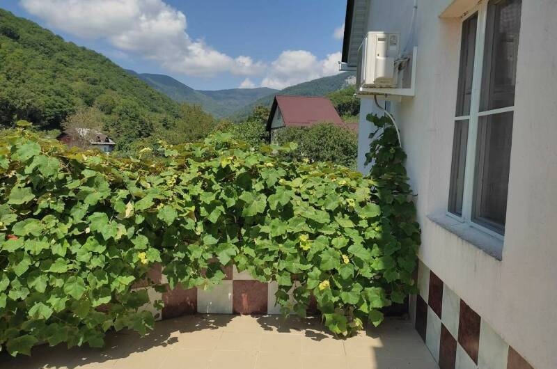 Номер «Эконом» № 3