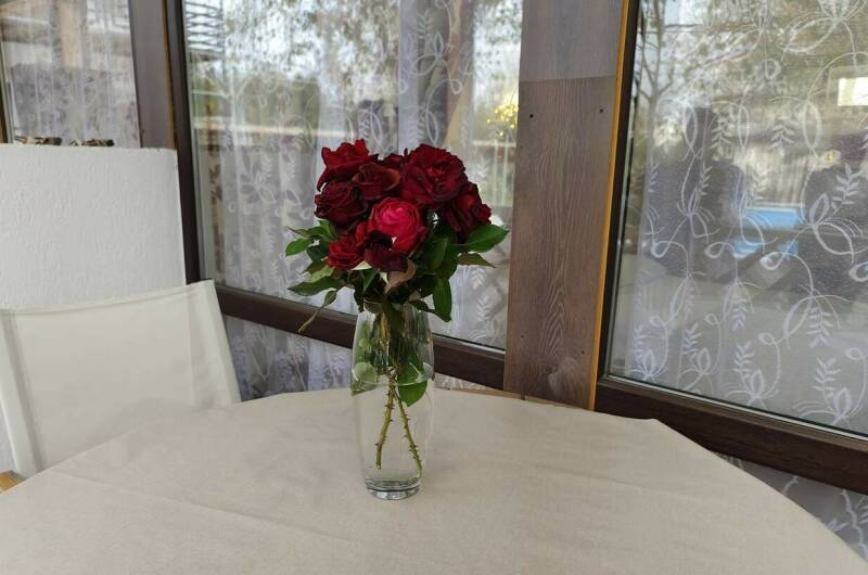 4-х местный номер «Полулюкс» с террасой