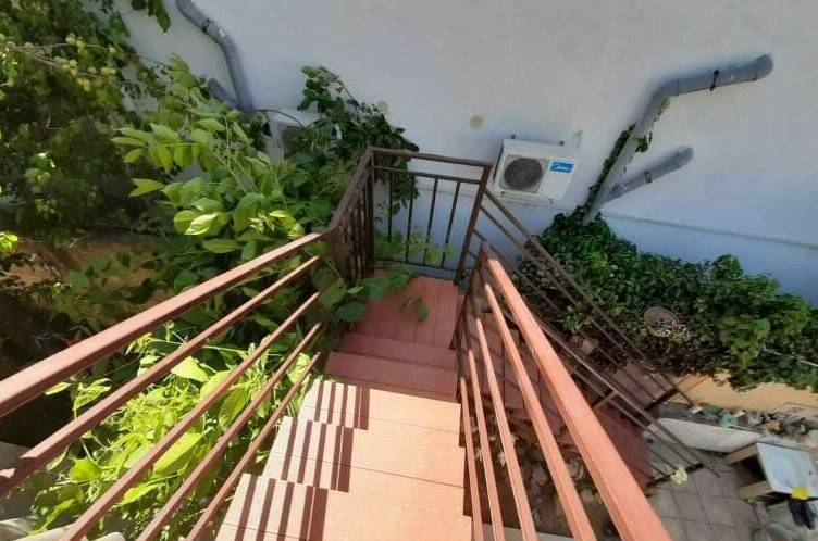 3-х местный «Стандарт» с террасой