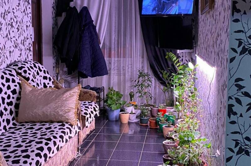 Трехместный номер-эконом (3 раздельных кровати)