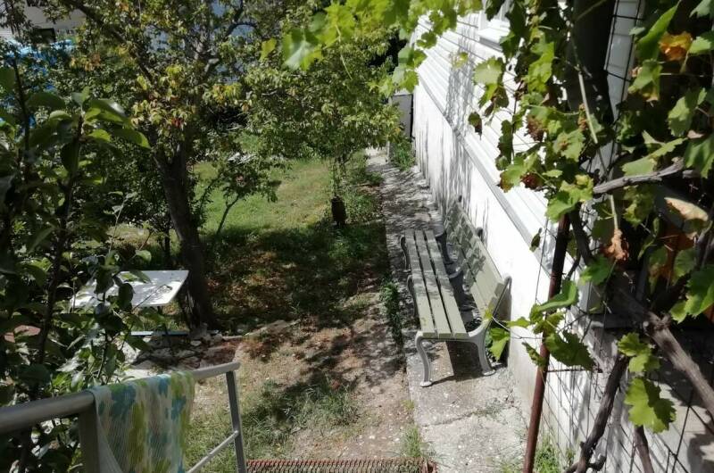 3-х местный «Стандарт» с доп. местом (№ 1)