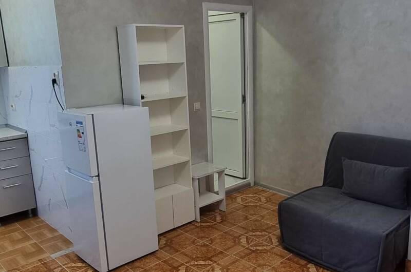 Студия с кухней