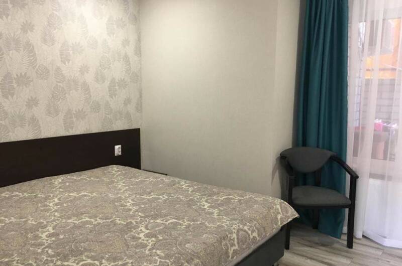 1л