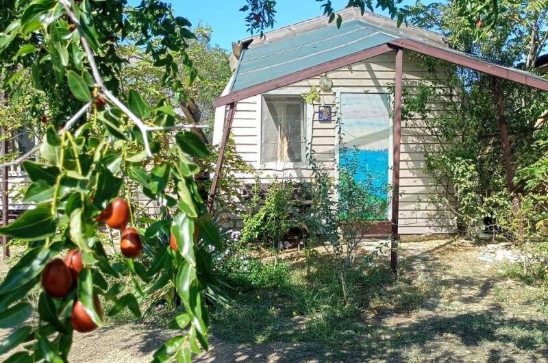 Дом из водорослей Zostera marina «Стандарт»