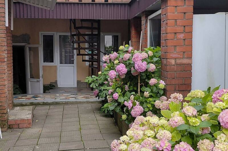 «Киви»