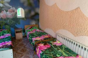 Изображение Изображение гостиницы "Частный сектор «Мира 42»" #3 #3